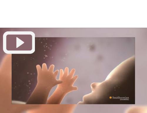 Vous n'arrivez pas à voir les images ? Contactez-nous sur jean@artips.fr