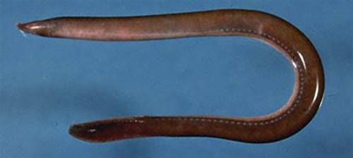 Vous n'arrivez pas à voir les images ? Contactez-nous sur jean@artips.fr