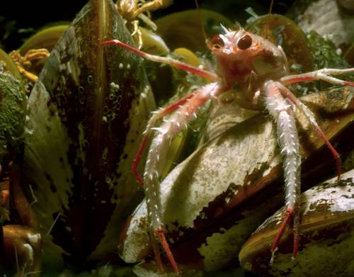 Vous n'arrivez pas à voir les images ? Contactez-nous sur jean@artips.fr