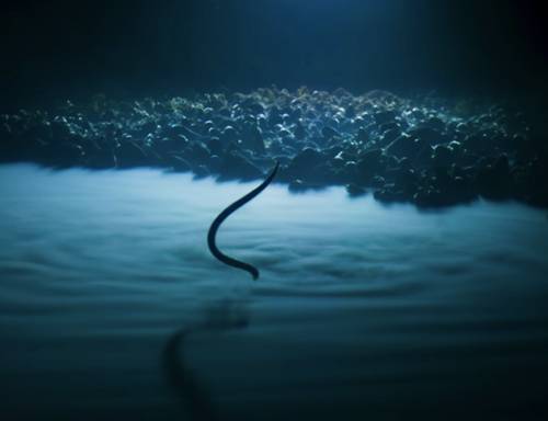 Vous n'arrivez pas à voir les images ? Contactez-nous sur jean@artips.fr