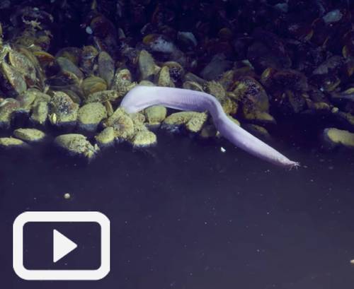 Vous n'arrivez pas à voir les images ? Contactez-nous sur jean@artips.fr