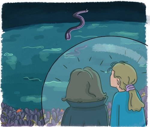 Vous n'arrivez pas à voir les images ? Contactez-nous sur jean@artips.fr