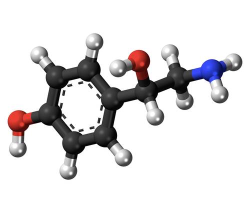 Représentation moléculaire de l'octopamine, photo : Jynto