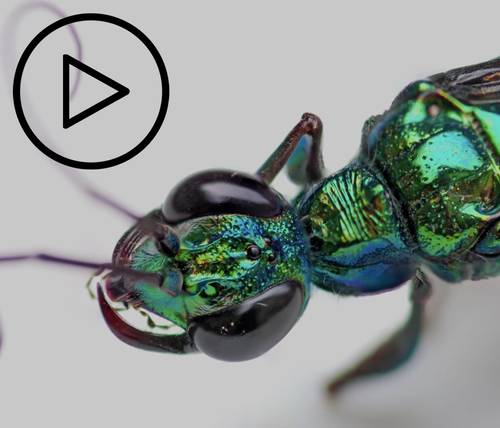 Vous n'arrivez pas à voir les images ? Contactez-nous sur jean@artips.fr