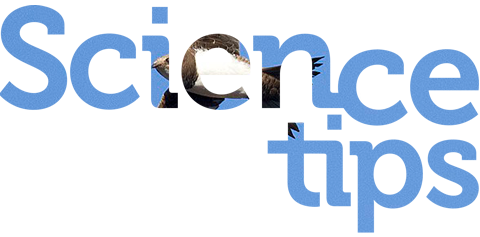 Sciencetips