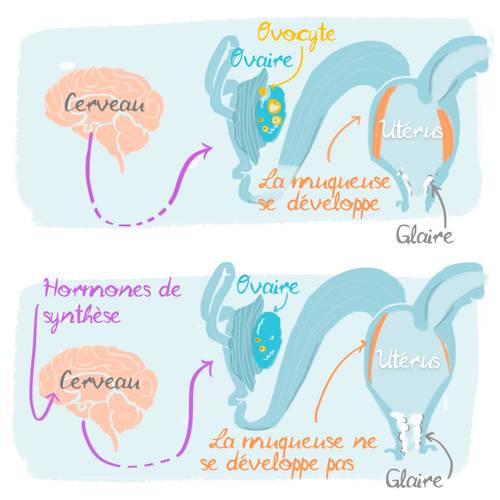 Vous n'arrivez pas à voir les images ? Contactez-nous sur jean@artips.fr
