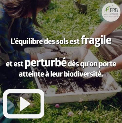 Vous n'arrivez pas à voir les images ? Contactez-nous sur jean@artips.fr