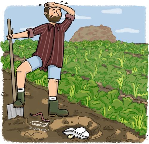 Vous n'arrivez pas à voir les images ? Contactez-nous sur jean@artips.fr