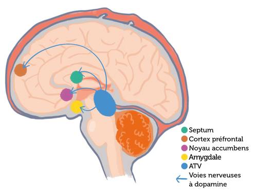 Vous n'arrivez pas à voir les images ? Contactez-nous sur jean@artips.fr