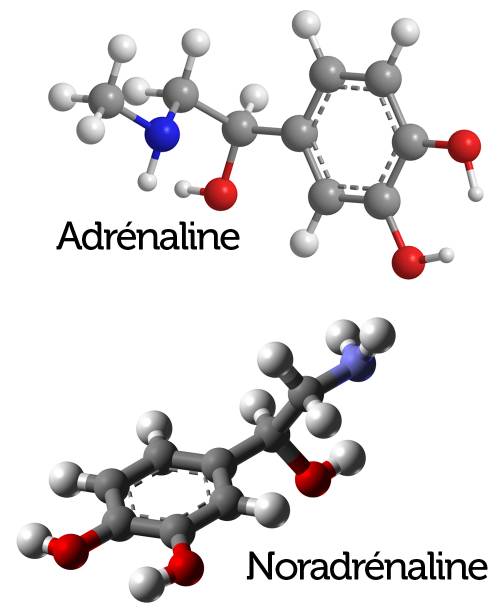 Vous n'arrivez pas à voir les images ? Contactez-nous sur jean@artips.fr